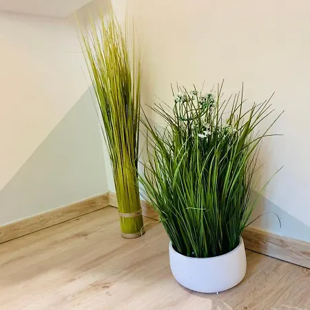Apartamento Mont D'or Manosque
